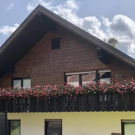 Haus Hubertus Apartment *