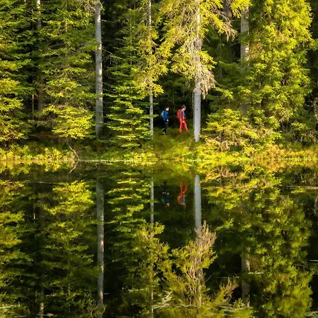 Appartamento Haus Hubertus *