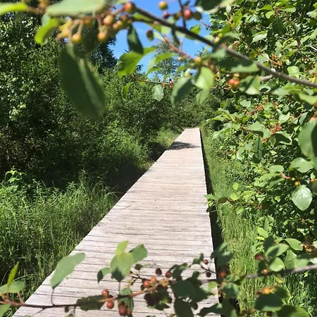 Haus Hubertus Enzklösterle