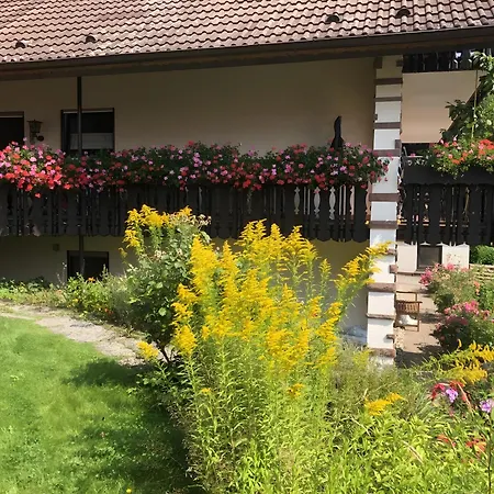 Apartment Haus Hubertus *