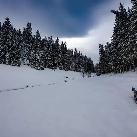 Haus Hubertus Appartamento