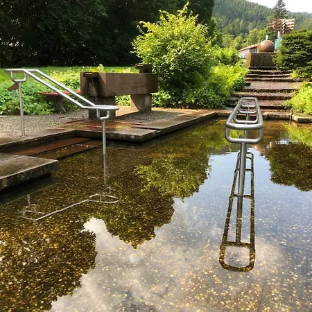 Haus Hubertus Enzklösterle