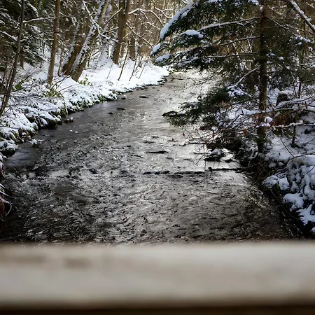 Haus Hubertus Appartamento Enzklösterle