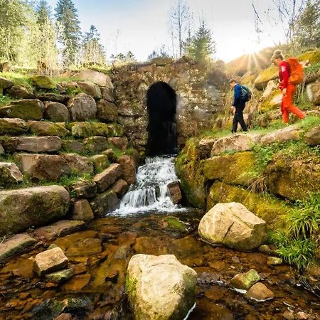 Haus Hubertus Enzklösterle